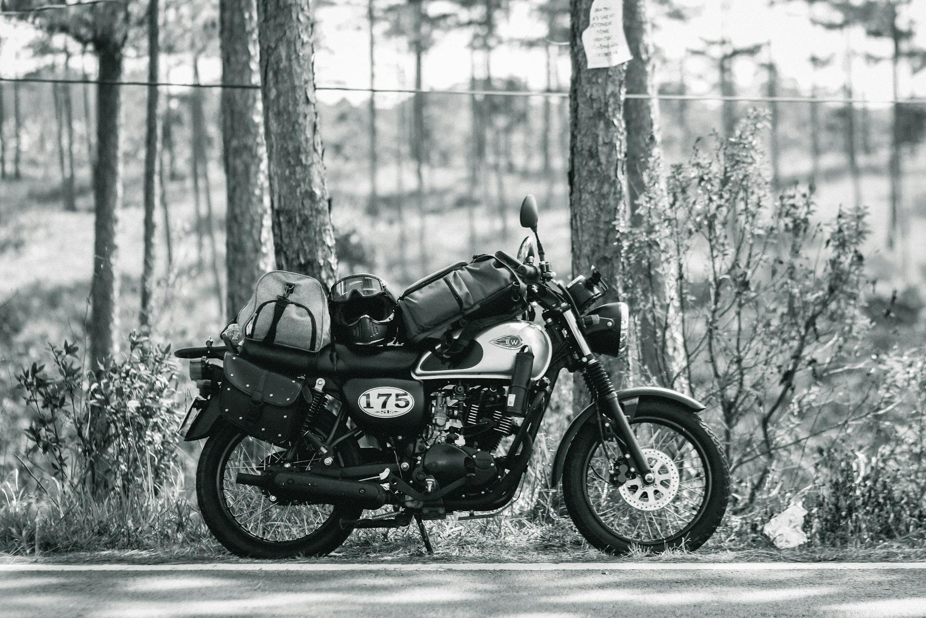 Kawasaki W175 Tr
